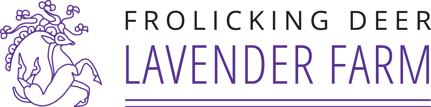 Frolicking Deer Lavender Farm